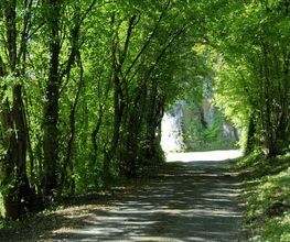 Hypnose pour Soi image 1