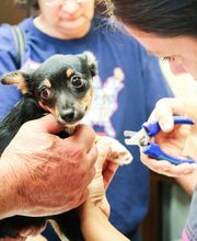 Shawnee Animal Hospital image 12