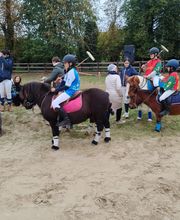 Haras du Cercle image 7