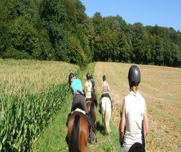 Centre Equestre des Cavalous image 1