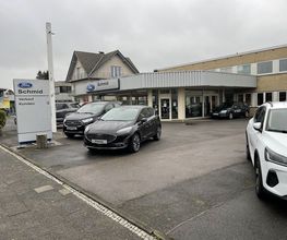 Ford Schmid Bild 1