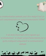 Equi'Canis Comportement image 5