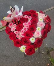 Delphiflore image 13