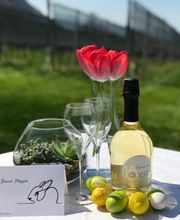 CANTINA IL CAVALIERE SA Bild 7