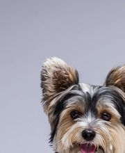 DE FILIPPO uomo GmbH Bild 1