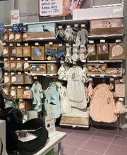 Orchestra AGNEAUX image 14