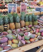 Ametller Origen imagen 5