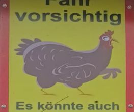 Stallbetrieb Poscher & Huhn Bild 1