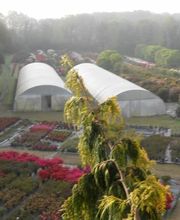 Les Pépinières de Kerfandol image 1