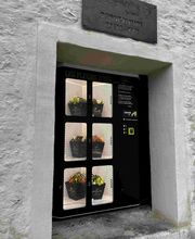 Les Fleurs D'Isis by Rénald image 7