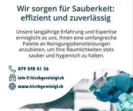 Frischgereinigt Bild 12
