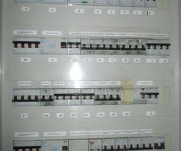 218699643-1-BZmcB44AbO1543948916709.jpeg