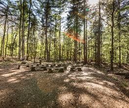 FriedWald Buxtehude Bild 9