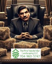 The Pine Needle Man Landscaping LLC image 12