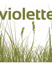 Jardinservice SARL image 3