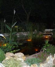 Alex Paysage image 17