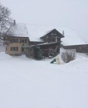 Ferme-Restaurant Pierreberg Bild 11