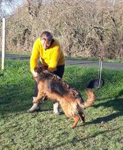 Agil'Canin 36 image 19