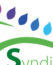 Naturopathe et coach sport santé - Frédéric Chevalier image 12