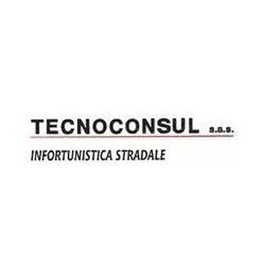 Tecnoconsul S.a.s. logo