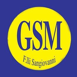 Gsm Servizi logo