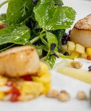 Schwan Restaurant Bild 14