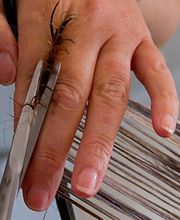 Actuel Coiffure image 4