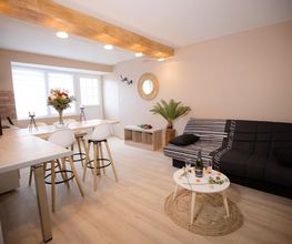 Pro Platre Batiment image 8