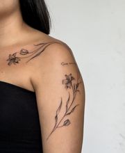 Nil Fineline imagen 14