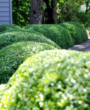 GGZ Gartenbau Bild 6