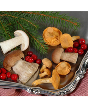 Baier Georg GmbH Bild 4