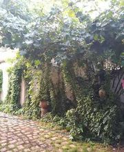 Casa Rural El Sueño de Lucrecia imagen 3