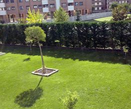Jardinería FG imagen 16