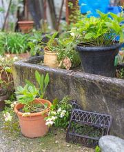 Entreprise de Demolition SA Bild 11