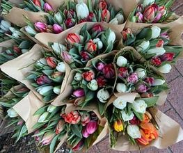 Blumen Müller Bild 3