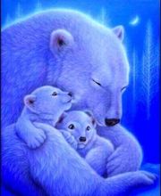 Nama Sté bien-être image 1