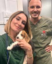 Vet Village - Policlinico Veterinario e Pronto Soccorso h24 immagine 20