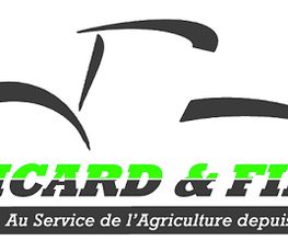 RICARD & FILS image 1