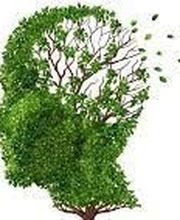 Thalmann Stamm Sabine image 12