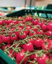 Kaufland Herzberg (Elster) Bild 13