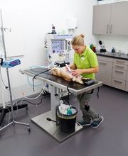 Kleintier-Spezialisten Klinik ARC Bild 3