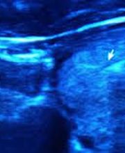 Centre d'Imagerie Médicale de la Gare image 2