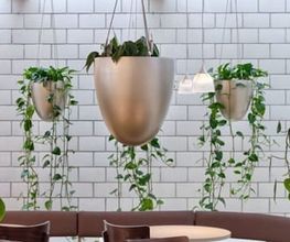 Luwasa Greenstyling AG Bild 1
