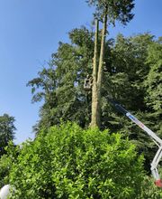 Grünplus AG Lehmann Bild 2