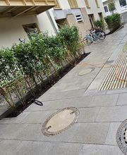 KAVA Garten & Landschaftsbau Bild 2