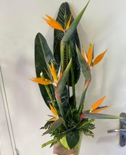 LES FLEURS D'EMILIE image 9