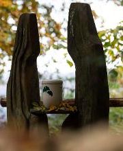 FriedWald Michelstadt im Odenwald Bild 9