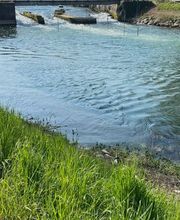 Psycab Marie José Abuzakuk image 3