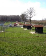 Vacances Pour Chiens image 1