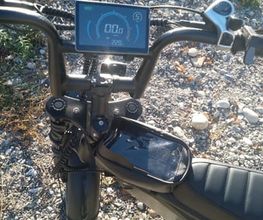 LM FatBikes image 13